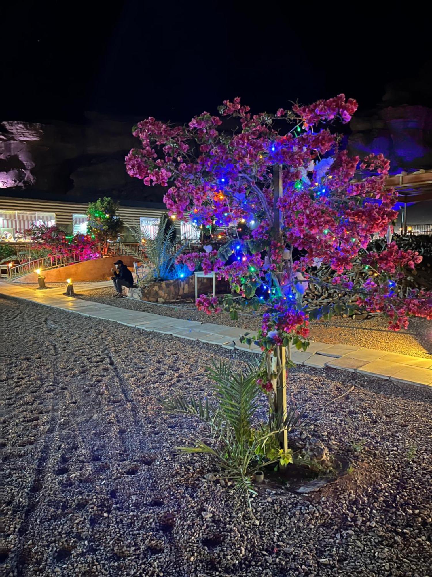 Revan Rum Luxury Camp Вади-Рам Экстерьер фото
